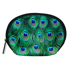 Peacock Feathers, Bonito, Bird, Blue, Colorful, Feathers Accessory Pouch (medium) by nateshop