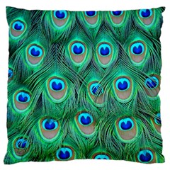 Peacock Feathers, Bonito, Bird, Blue, Colorful, Feathers Large Premium Plush Fleece Cushion Case (one Side) by nateshop