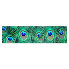 Peacock Feathers, Bonito, Bird, Blue, Colorful, Feathers Oblong Satin Scarf (16  X 60 )