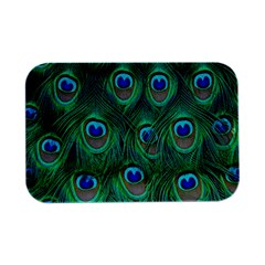 Peacock Feathers, Bonito, Bird, Blue, Colorful, Feathers Open Lid Metal Box (silver)   by nateshop