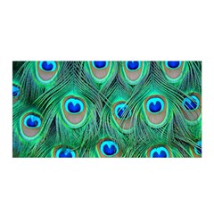 Peacock Feathers, Bonito, Bird, Blue, Colorful, Feathers Satin Wrap 35  X 70  by nateshop