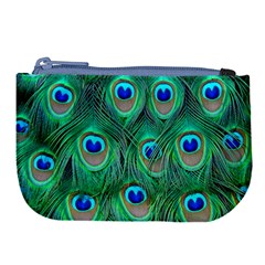 Peacock Feathers, Bonito, Bird, Blue, Colorful, Feathers Large Coin Purse by nateshop