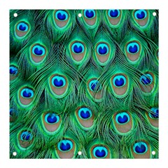 Peacock Feathers, Bonito, Bird, Blue, Colorful, Feathers Banner And Sign 3  X 3  by nateshop