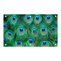 Peacock Feathers, Bonito, Bird, Blue, Colorful, Feathers Banner And Sign 5  X 3 