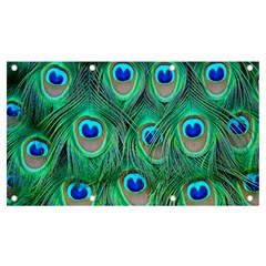 Peacock Feathers, Bonito, Bird, Blue, Colorful, Feathers Banner And Sign 7  X 4  by nateshop