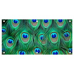 Peacock Feathers, Bonito, Bird, Blue, Colorful, Feathers Banner And Sign 4  X 2  by nateshop