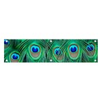 Peacock Feathers, Bonito, Bird, Blue, Colorful, Feathers Banner and Sign 4  x 1  Front