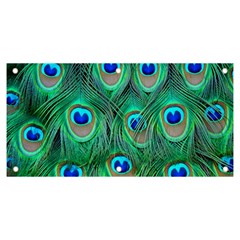 Peacock Feathers, Bonito, Bird, Blue, Colorful, Feathers Banner And Sign 6  X 3 