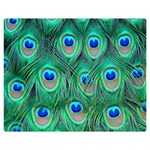 Peacock Feathers, Bonito, Bird, Blue, Colorful, Feathers Premium Plush Fleece Blanket (Medium) 60 x50  Blanket Front