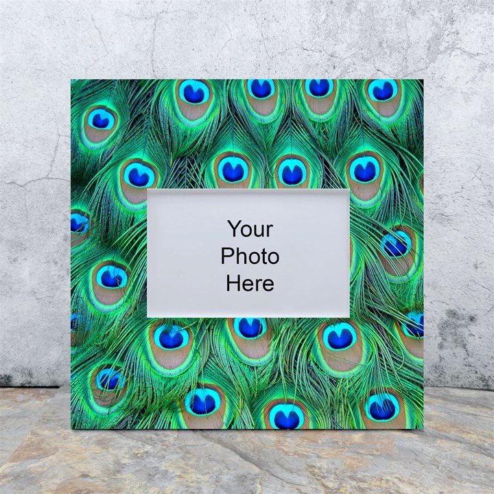 Peacock Feathers, Bonito, Bird, Blue, Colorful, Feathers White Box Photo Frame 4  x 6 