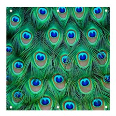 Peacock Feathers, Bonito, Bird, Blue, Colorful, Feathers Banner And Sign 4  X 4  by nateshop