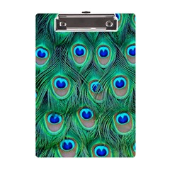 Peacock Feathers, Bonito, Bird, Blue, Colorful, Feathers A5 Acrylic Clipboard by nateshop