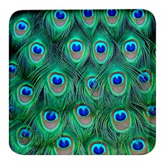 Peacock Feathers, Bonito, Bird, Blue, Colorful, Feathers Square Glass Fridge Magnet (4 Pack) by nateshop