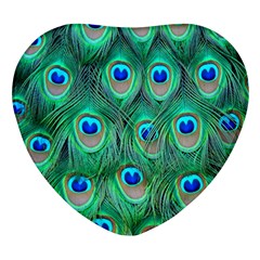 Peacock Feathers, Bonito, Bird, Blue, Colorful, Feathers Heart Glass Fridge Magnet (4 Pack) by nateshop