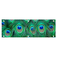 Peacock Feathers, Bonito, Bird, Blue, Colorful, Feathers Banner And Sign 6  X 2  by nateshop