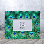 Peacock Feathers, Bonito, Bird, Blue, Colorful, Feathers White Tabletop Photo Frame 4 x6  Front