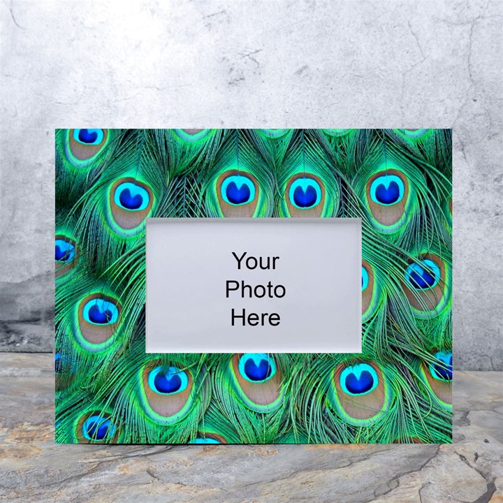 Peacock Feathers, Bonito, Bird, Blue, Colorful, Feathers White Tabletop Photo Frame 4 x6 