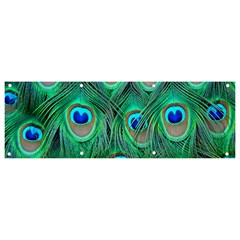 Peacock Feathers, Bonito, Bird, Blue, Colorful, Feathers Banner And Sign 9  X 3  by nateshop