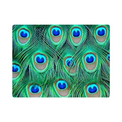 Peacock Feathers, Bonito, Bird, Blue, Colorful, Feathers Premium Plush Fleece Blanket (mini) by nateshop