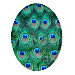 Peacock Feathers, Bonito, Bird, Blue, Colorful, Feathers Oval Glass Fridge Magnet (4 Pack) by nateshop