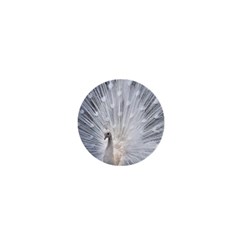 White Feathers, Animal, Bird, Feather, Peacock 1  Mini Magnets by nateshop