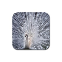 White Feathers, Animal, Bird, Feather, Peacock Rubber Square Coaster (4 Pack) by nateshop