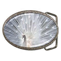 White Feathers, Animal, Bird, Feather, Peacock Belt Buckles by nateshop