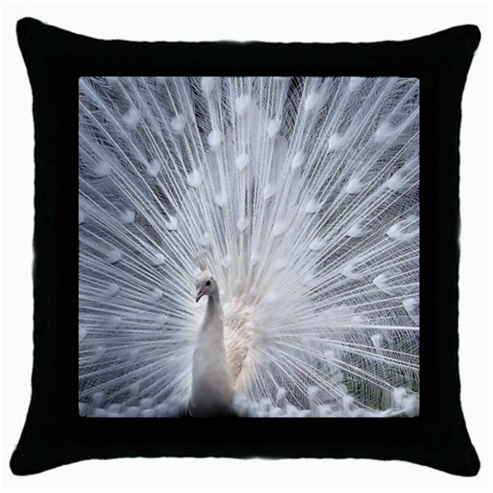 White Feathers, Animal, Bird, Feather, Peacock Throw Pillow Case (Black)