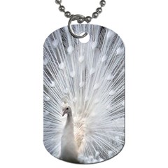 White Feathers, Animal, Bird, Feather, Peacock Dog Tag (one Side) by nateshop