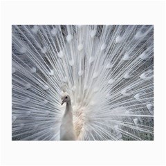 White Feathers, Animal, Bird, Feather, Peacock Small Glasses Cloth by nateshop