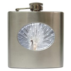 White Feathers, Animal, Bird, Feather, Peacock Hip Flask (6 Oz) by nateshop