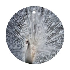 White Feathers, Animal, Bird, Feather, Peacock Round Ornament (two Sides)