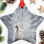 White Feathers, Animal, Bird, Feather, Peacock Star Ornament (Two Sides) Front