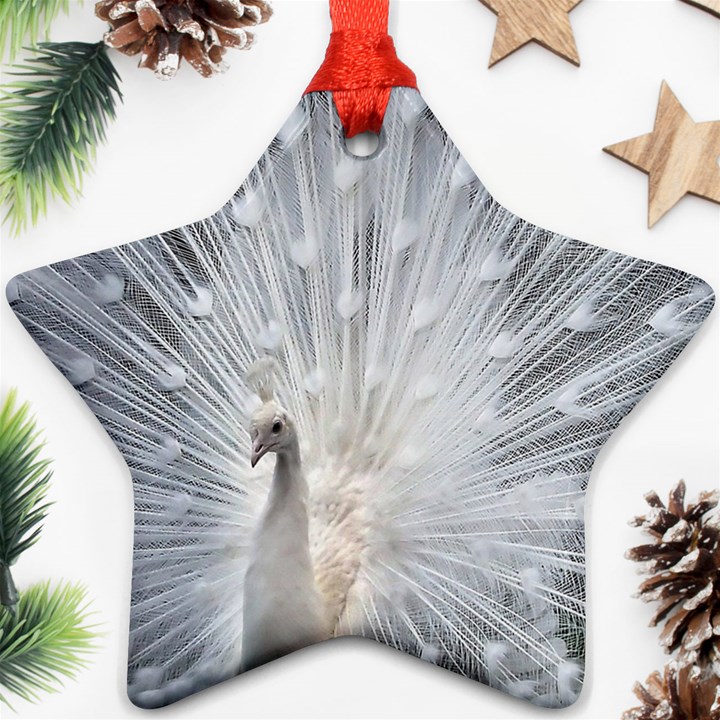 White Feathers, Animal, Bird, Feather, Peacock Star Ornament (Two Sides)