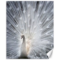 White Feathers, Animal, Bird, Feather, Peacock Canvas 16  X 20  by nateshop