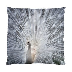 White Feathers, Animal, Bird, Feather, Peacock Standard Cushion Case (two Sides) by nateshop