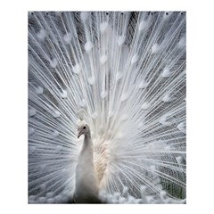 White Feathers, Animal, Bird, Feather, Peacock Shower Curtain 60  X 72  (medium)  by nateshop