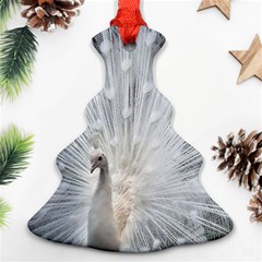 White Feathers, Animal, Bird, Feather, Peacock Ornament (christmas Tree)  by nateshop