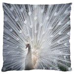 White Feathers, Animal, Bird, Feather, Peacock Large Cushion Case (One Side) Front