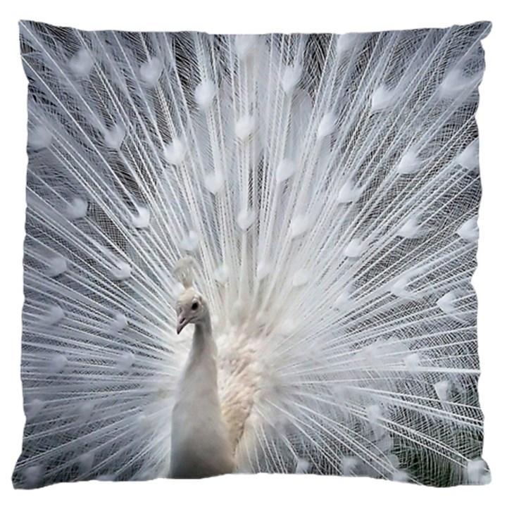 White Feathers, Animal, Bird, Feather, Peacock Large Cushion Case (One Side)