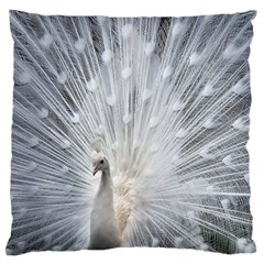 White Feathers, Animal, Bird, Feather, Peacock Large Premium Plush Fleece Cushion Case (two Sides) by nateshop