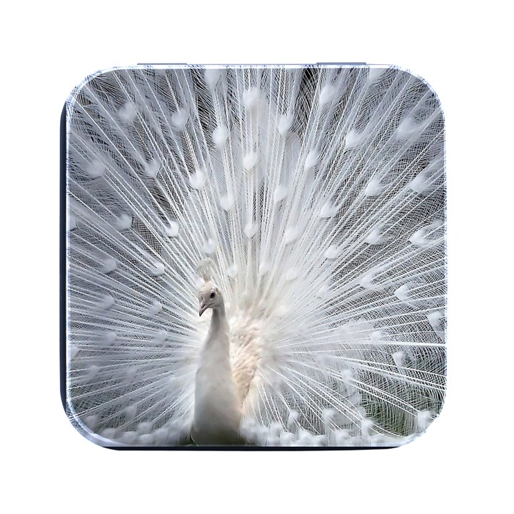 White Feathers, Animal, Bird, Feather, Peacock Square Metal Box (Black)