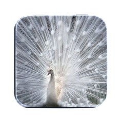 White Feathers, Animal, Bird, Feather, Peacock Square Metal Box (black) by nateshop