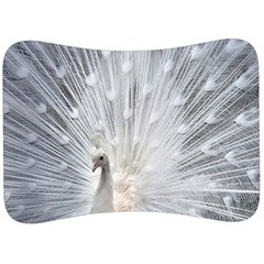 White Feathers, Animal, Bird, Feather, Peacock Velour Seat Head Rest Cushion by nateshop