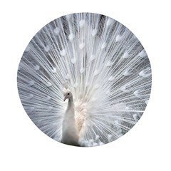 White Feathers, Animal, Bird, Feather, Peacock Mini Round Pill Box by nateshop