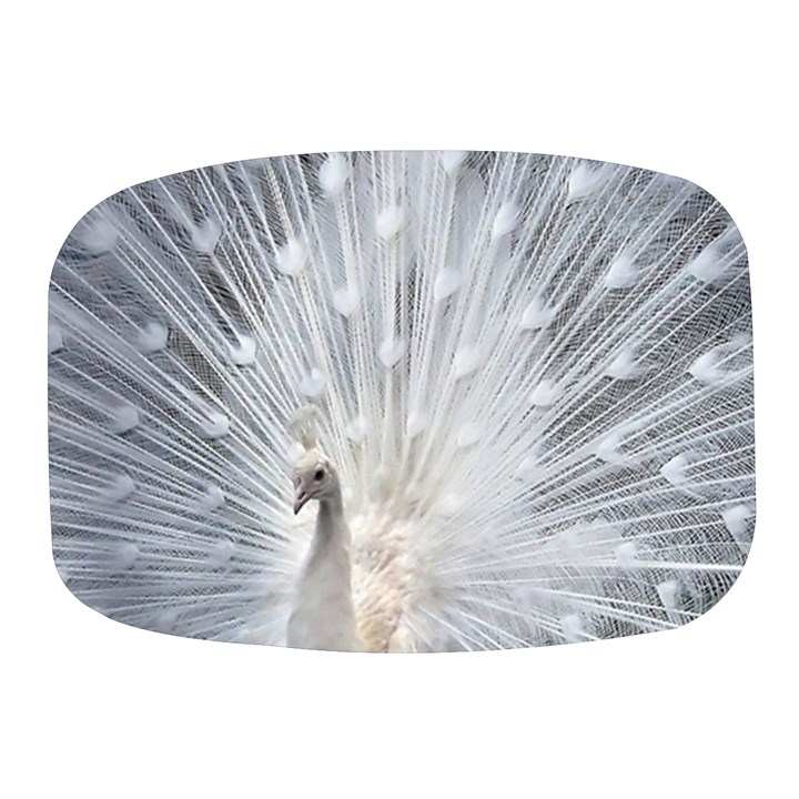 White Feathers, Animal, Bird, Feather, Peacock Mini Square Pill Box