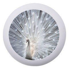 White Feathers, Animal, Bird, Feather, Peacock Dento Box With Mirror by nateshop