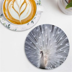 White Feathers, Animal, Bird, Feather, Peacock Uv Print Round Tile Coaster by nateshop