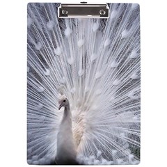 White Feathers, Animal, Bird, Feather, Peacock A4 Acrylic Clipboard by nateshop