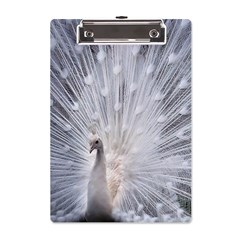 White Feathers, Animal, Bird, Feather, Peacock A5 Acrylic Clipboard by nateshop